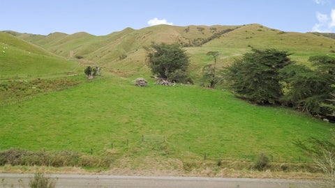 438 Mangaoranga Road, EKETAHUNA, EKETAHUNA