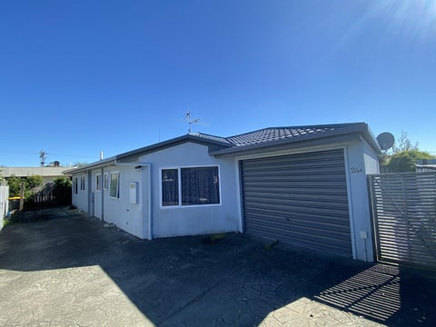 24A Green Street, Tahunanui, Nelson