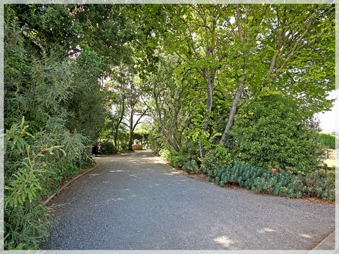 1071 Queen ST East, Levin, Levin