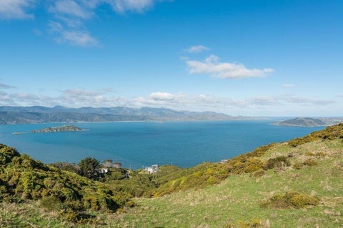 21 Edgecombe Street, Newlands, Wellington