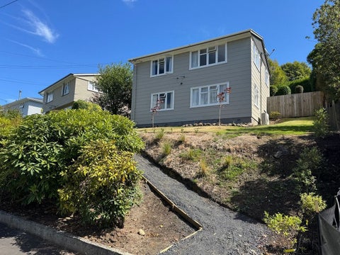 46 Cockerell Street, Brockville, Dunedin