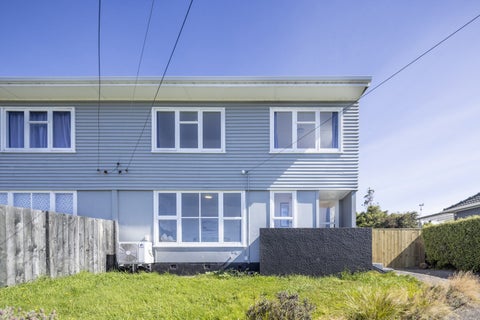 45 Caldwell Street, Brockville, Dunedin