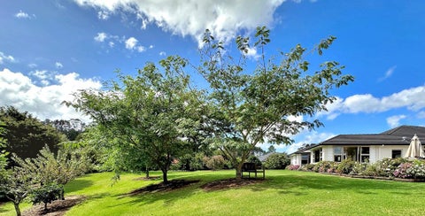19 Riverbank Drive, Kerikeri, Kerikeri