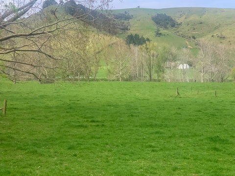 175 Maratoto Road, Hikutaia, Paeroa