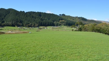 6 Honoiti Ranapiri Place, Manakau, Manakau
