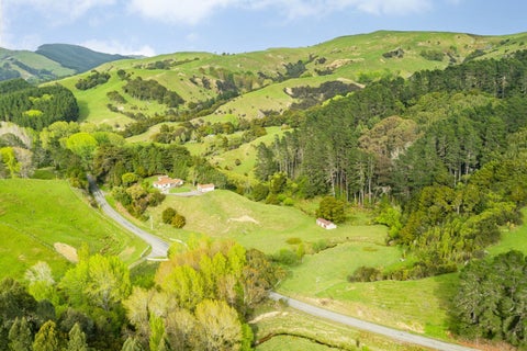 6154 Route 52, Dannevirke