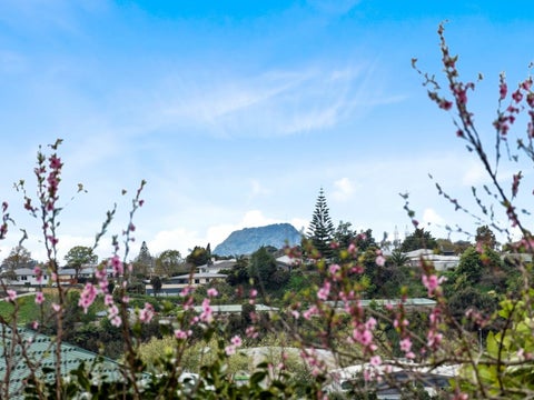 27 Mahonia Place, Pyes Pa, Tauranga