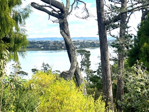 0 Attwood Road, Ruatangata West, Kamo