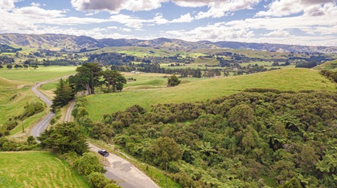 0 Tutaekara Rd, Pahiatua, Pahiatua