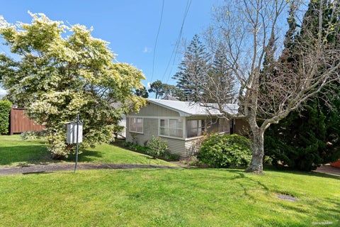 41 Boyce Avenue, Mount Roskill, Auckland