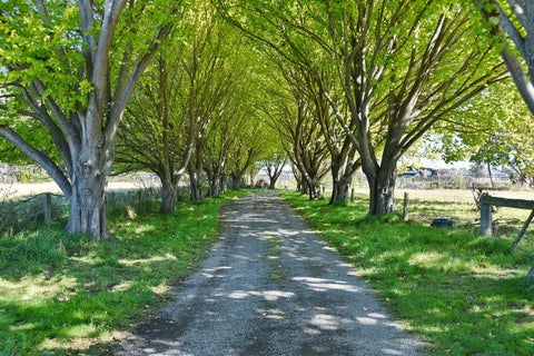 230 Lees Road, Kaiapoi, Kaiapoi