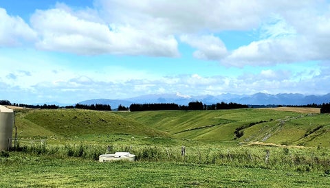 602 Kakapo Road, TE ANAU, Te Anau