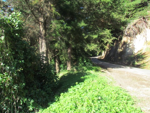 2 Ararata Road, HAWERA, Hawera