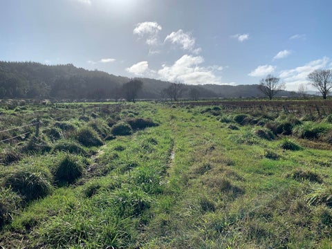 303 Hibiscus Coast Highway, Orewa, Orewa