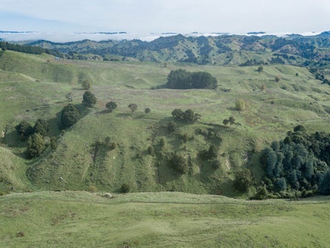 0 Takahue Saddle Road, Takahue, Kaitaia