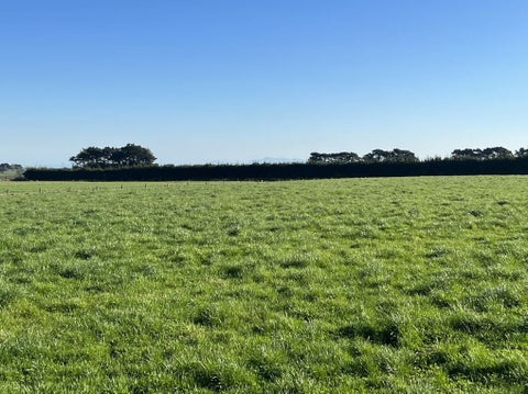 80 Dowling Road, LONGBUSH, INVERCARGILL