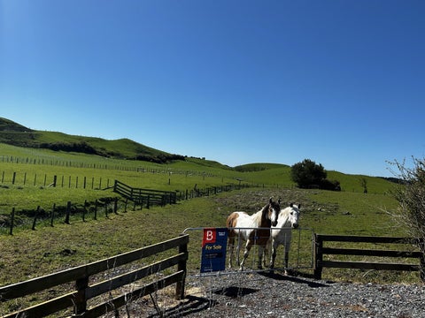 110 Glengarry Road, Dannevirke
