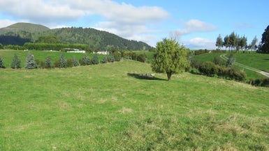 338 Centennial Drive, Rotokawa, Taupō