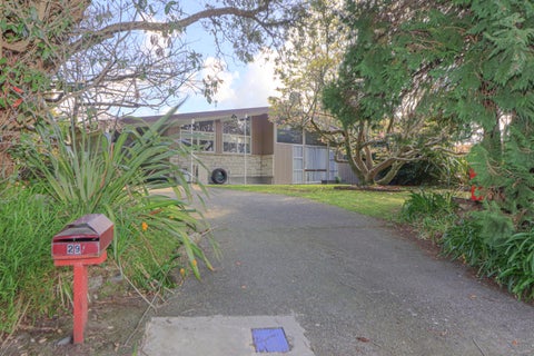 29 Argyle Avenue, Levin, Levin