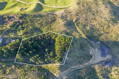 0 Cooks Tooth Road, Porangahau, Porangahau