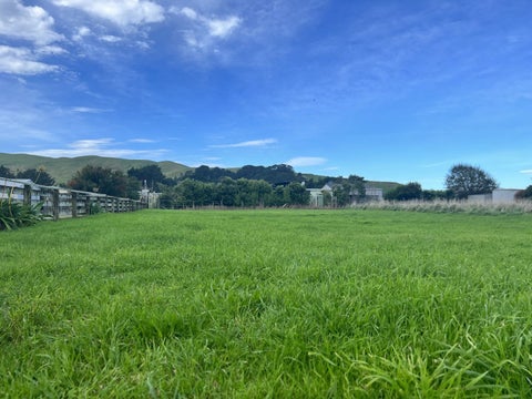 21 Seaview Road, Herbertville
