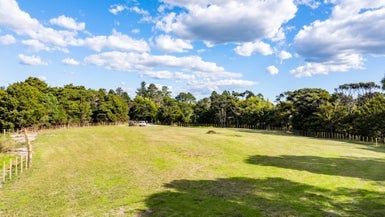109 Echo Valley Road, Mangawhai, Kaiwaka