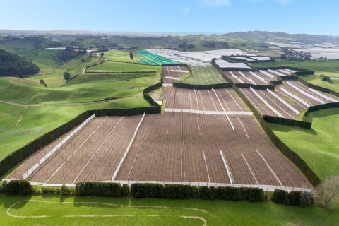 123 Johnson Road, Pukehina, Te Puke