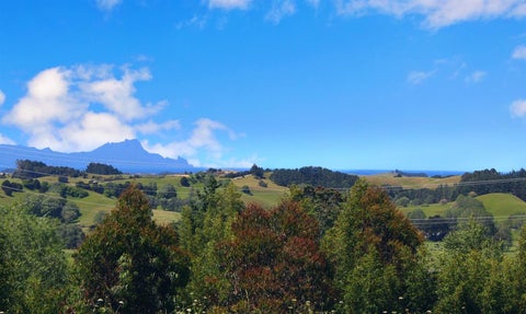 0 State Highway 1, Waipu, Waipu