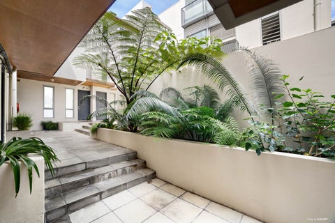8/5 Fox Street, Parnell, Auckland
