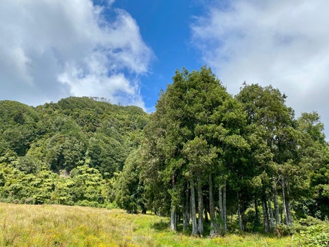 0 Kongahu Swamp Road, Karamea, Karamea