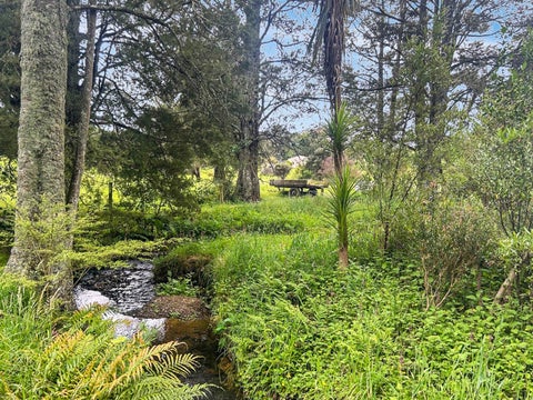 150 Dimmock Road, Waitakaruru, Ngatea