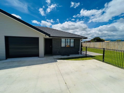 67A Hinemoa Street, Levin, Levin
