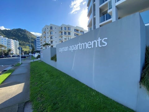 29 Maunganui Road, Mount Maunganui, Mount Maunganui