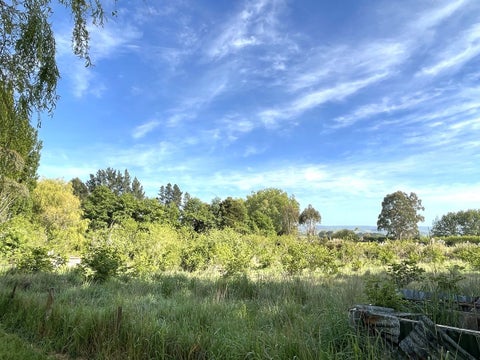 37 Knoll Street, Milton, Milton
