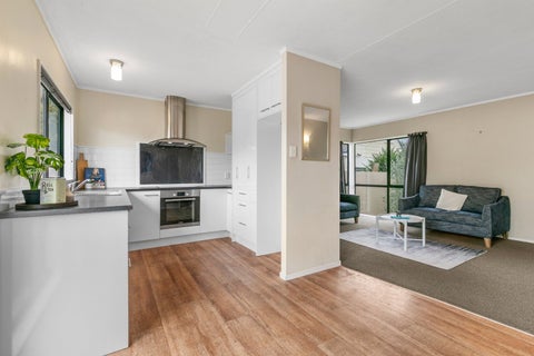 36A Wilton Street, Levin, Levin