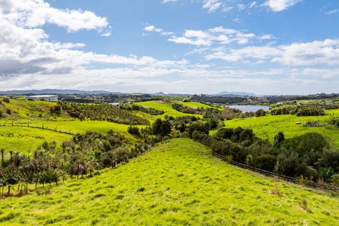 41 Kokopu Lane, Wellsford