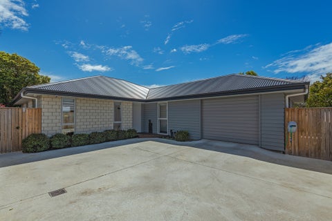 31A Manson Street, Terrace End, Palmerston North