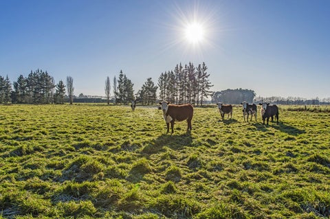 12 Bramleys Road, Flaxton, Kaiapoi