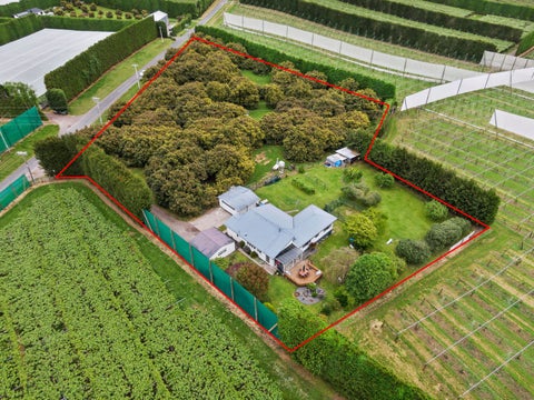 348 Manoeka Road, Te Puke, Te Puke