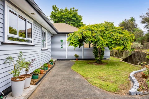 425 Saint Aubyn Street, Lynmouth, New Plymouth