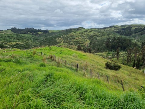 670 Bickerstaffe Road, Maungaturoto