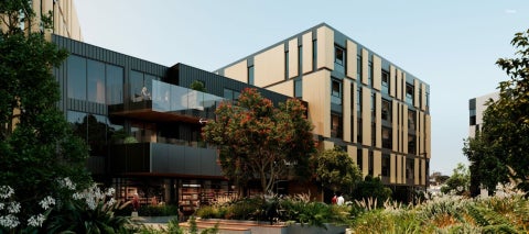 506/48 Esmonde Road, Takapuna, Auckland