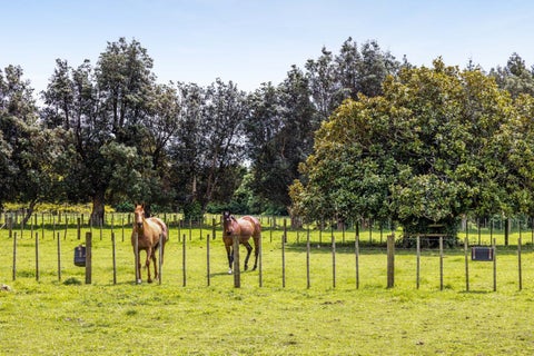 200 Paraite Road, Paraite, New Plymouth