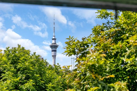 107 Howe Street, Freemans Bay, Auckland