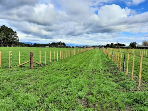 157 Motuiti Road, Foxton, Foxton