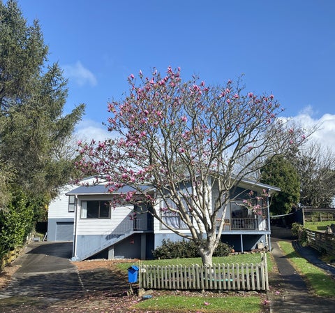 24 Matipo Drive, Tuakau, Tuakau