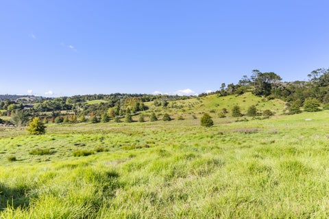 123A Escott Road, Dairy Flat, Dairy Flat