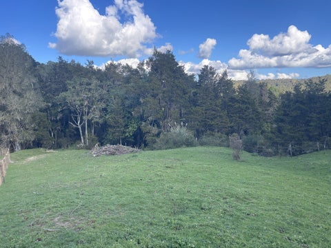 0 Horeke Road, Horeke, Okaihau