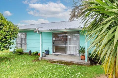 16 Adkin Avenue, Levin, Levin
