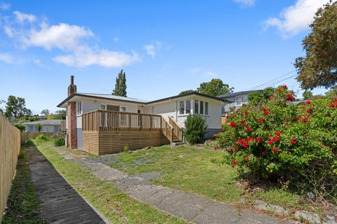 4 Peter Buck Road, New Windsor, Auckland